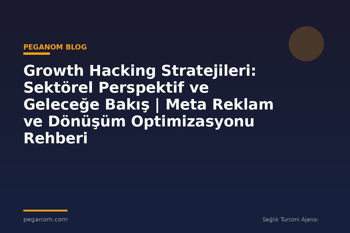 Growth Hacking Stratejileri: Sektörel Perspektif ve Geleceğe Bakış | Meta Reklam ve Dönüşüm Optimizasyonu Rehberi
