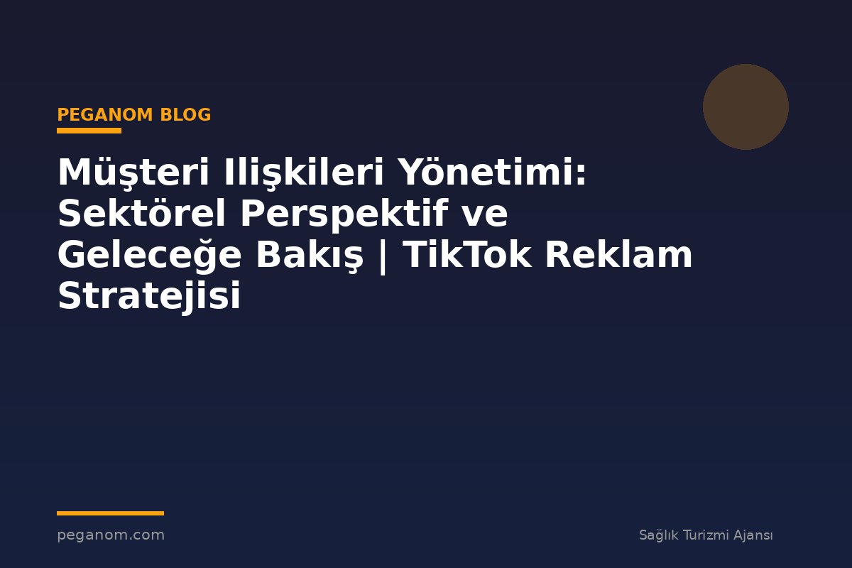 Müşteri Ilişkileri Yönetimi: Sektörel Perspektif ve Geleceğe Bakış | TikTok Reklam Stratejisi