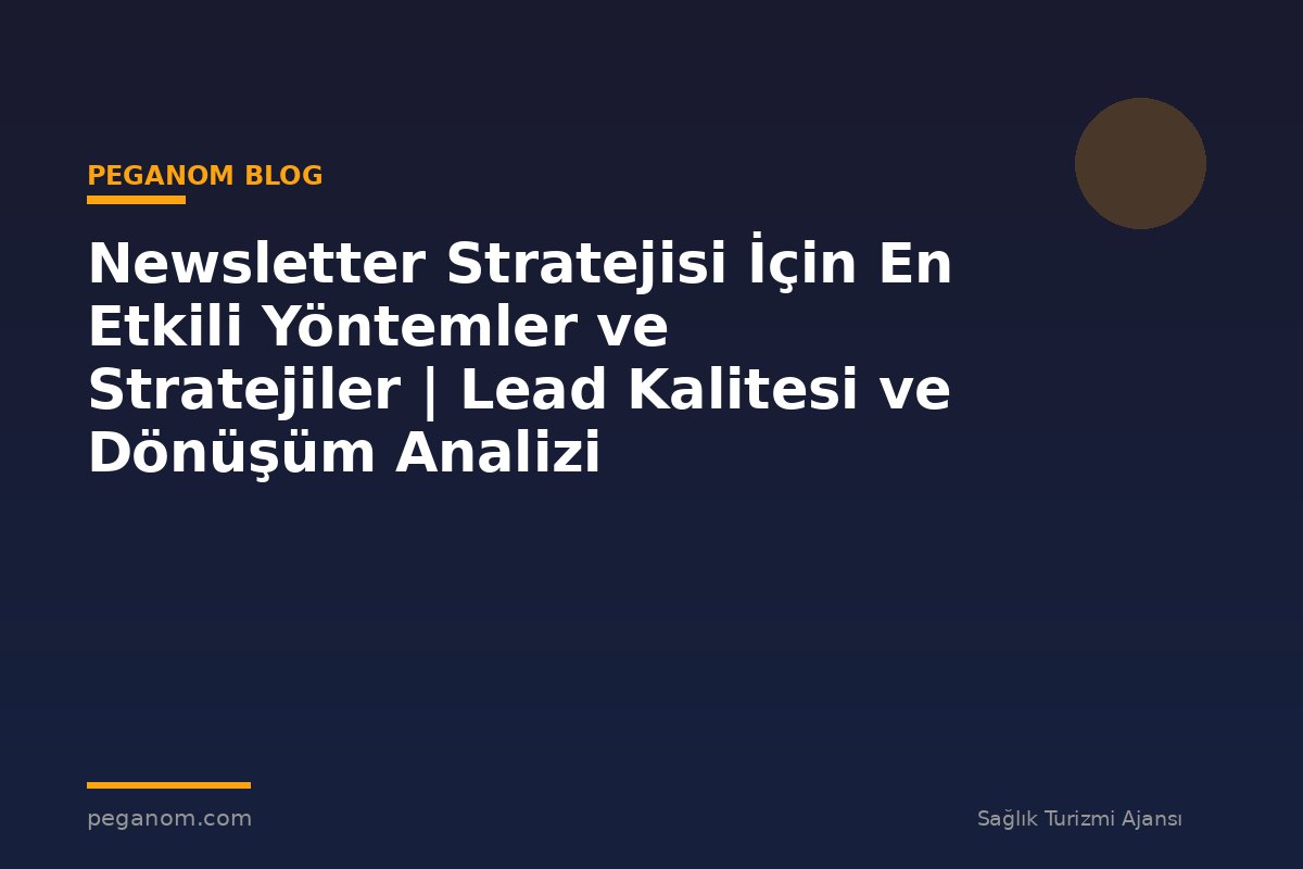 Newsletter Stratejisi İçin En Etkili Yöntemler ve Stratejiler | Lead Kalitesi ve Dönüşüm Analizi