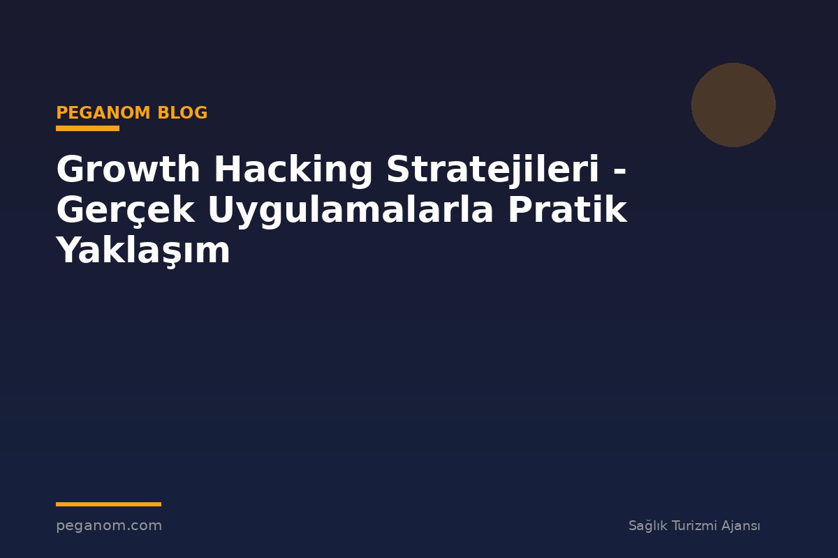 Growth Hacking Stratejileri - Gerçek Uygulamalarla Pratik Yaklaşım