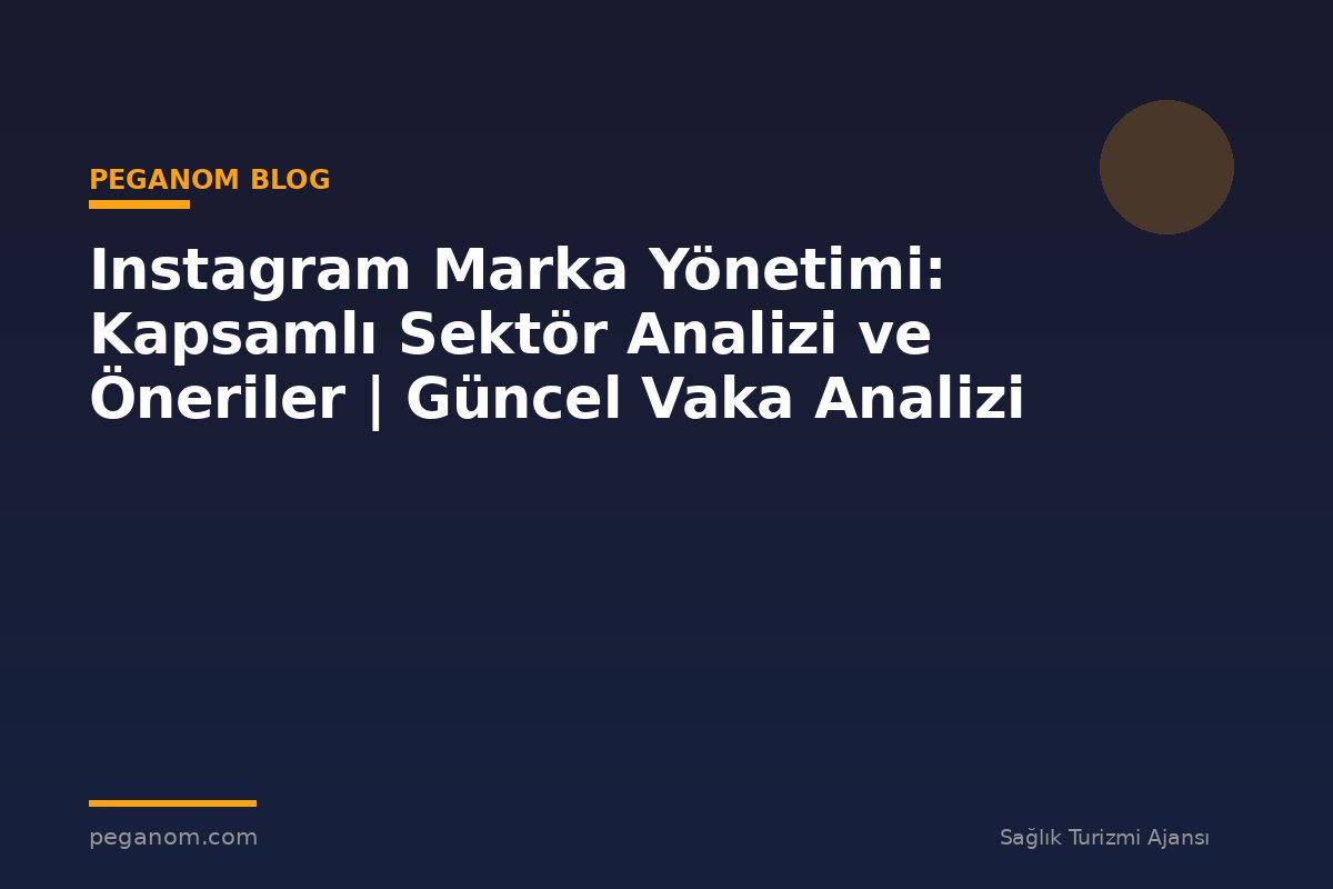 Instagram Marka Yönetimi: Kapsamlı Sektör Analizi ve Öneriler | Güncel Vaka Analizi