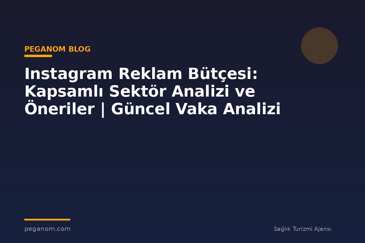Instagram Reklam Bütçesi: Kapsamlı Sektör Analizi ve Öneriler | Güncel Vaka Analizi
