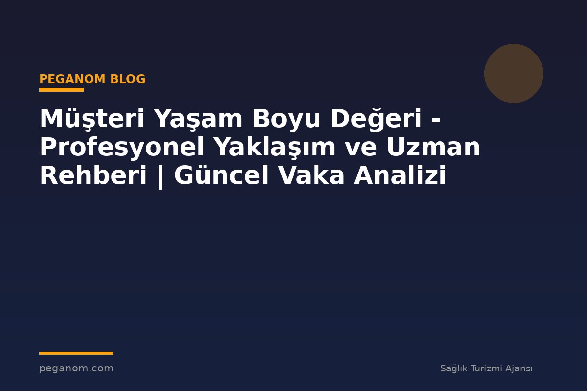 Müşteri Yaşam Boyu Değeri - Profesyonel Yaklaşım ve Uzman Rehberi | Güncel Vaka Analizi
