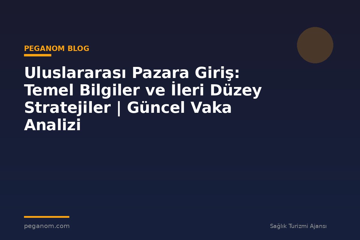 Uluslararası Pazara Giriş: Temel Bilgiler ve İleri Düzey Stratejiler | Güncel Vaka Analizi
