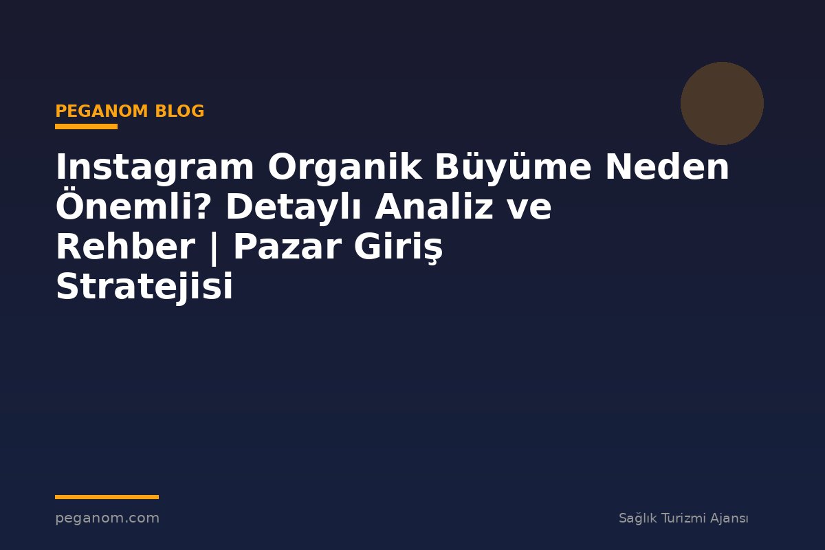 Instagram Organik Büyüme Neden Önemli? Detaylı Analiz ve Rehber | Pazar Giriş Stratejisi