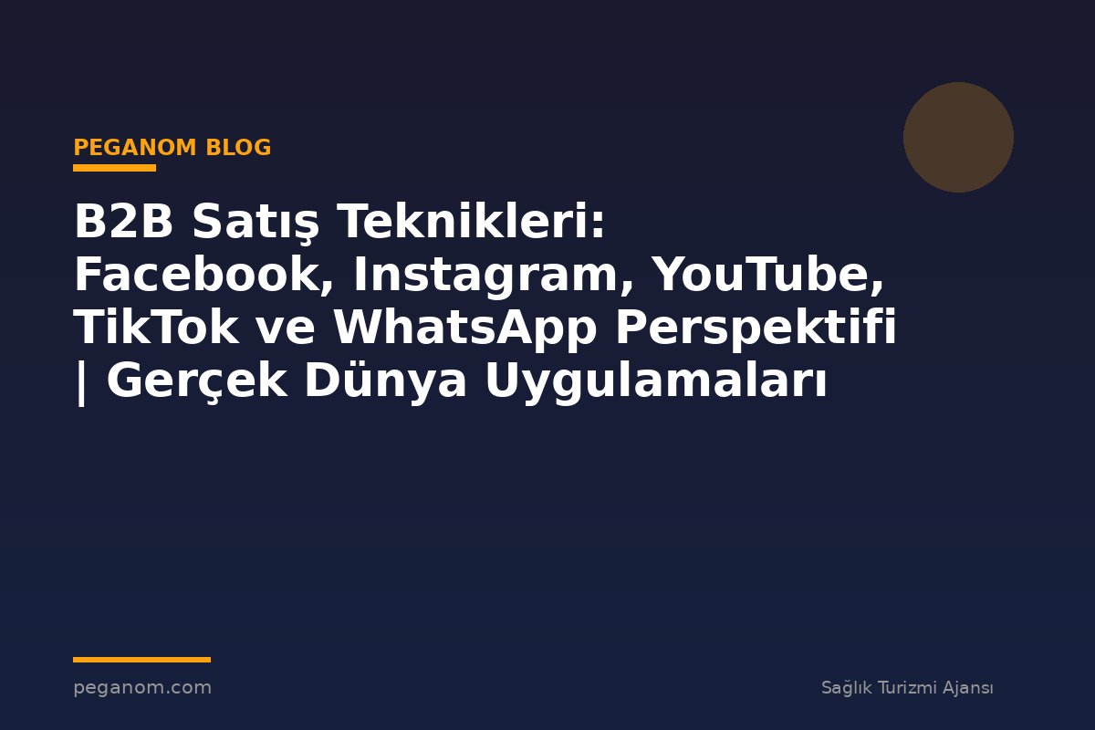 B2B Satış Teknikleri: Facebook, Instagram, YouTube, TikTok ve WhatsApp Perspektifi | Gerçek Dünya Uygulamaları