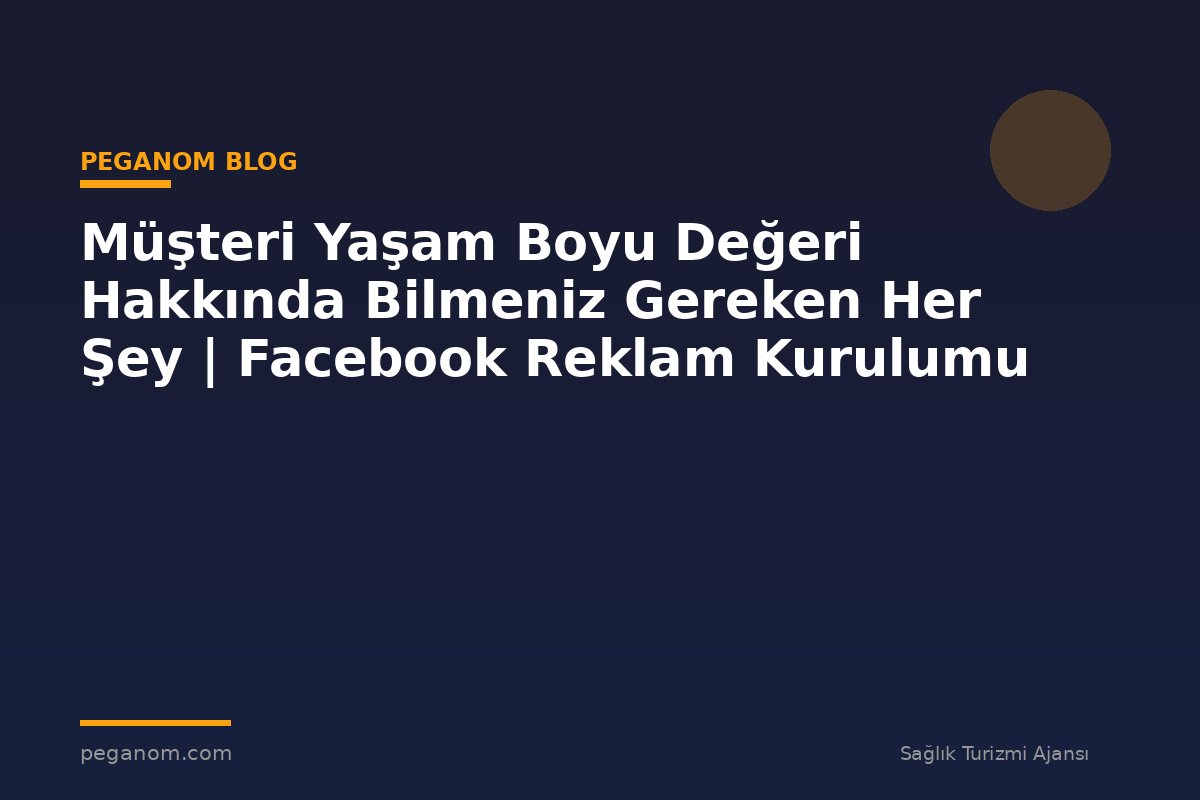 Müşteri Yaşam Boyu Değeri Hakkında Bilmeniz Gereken Her Şey | Facebook Reklam Kurulumu
