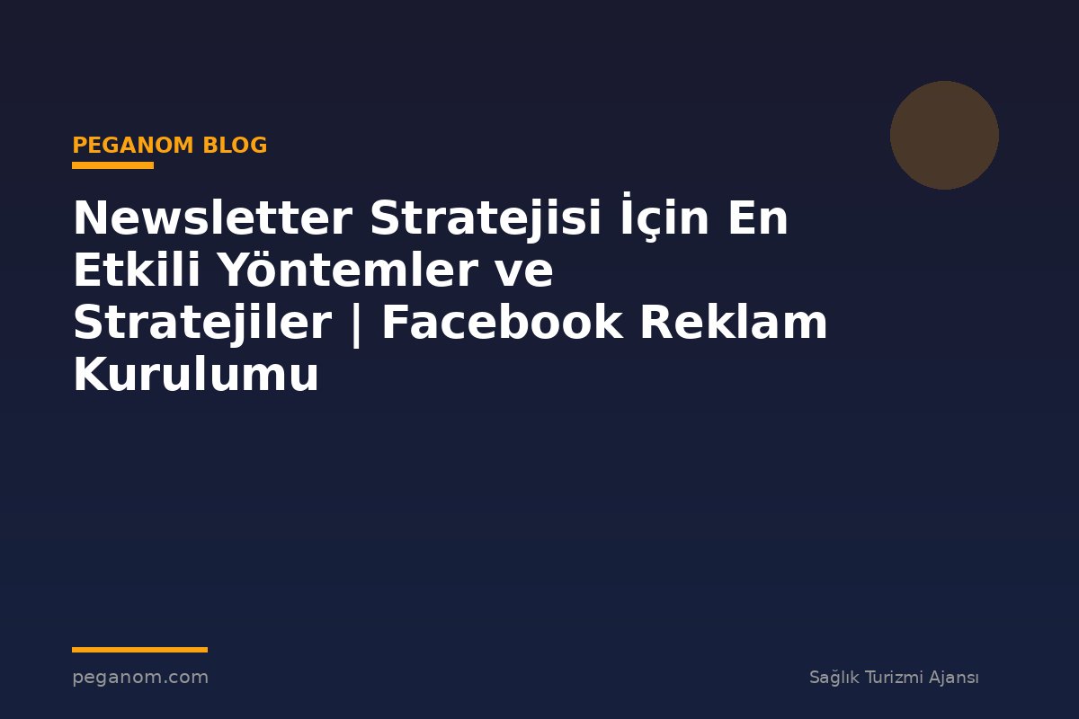 Newsletter Stratejisi İçin En Etkili Yöntemler ve Stratejiler | Facebook Reklam Kurulumu