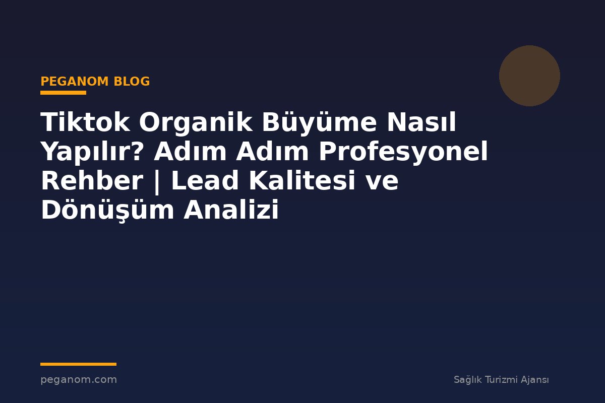 Tiktok Organik Büyüme Nasıl Yapılır? Adım Adım Profesyonel Rehber | Lead Kalitesi ve Dönüşüm Analizi