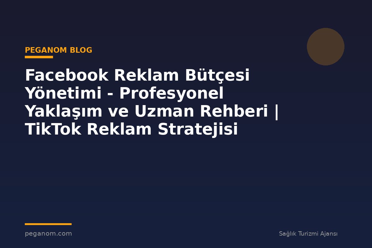 Facebook Reklam Bütçesi Yönetimi - Profesyonel Yaklaşım ve Uzman Rehberi | TikTok Reklam Stratejisi