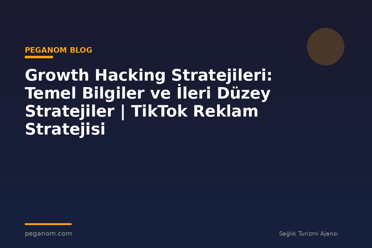 Growth Hacking Stratejileri: Temel Bilgiler ve İleri Düzey Stratejiler | TikTok Reklam Stratejisi
