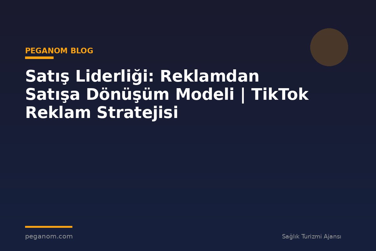 Satış Liderliği: Reklamdan Satışa Dönüşüm Modeli | TikTok Reklam Stratejisi