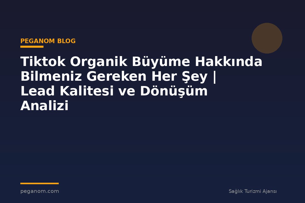Tiktok Organik Büyüme Hakkında Bilmeniz Gereken Her Şey | Lead Kalitesi ve Dönüşüm Analizi