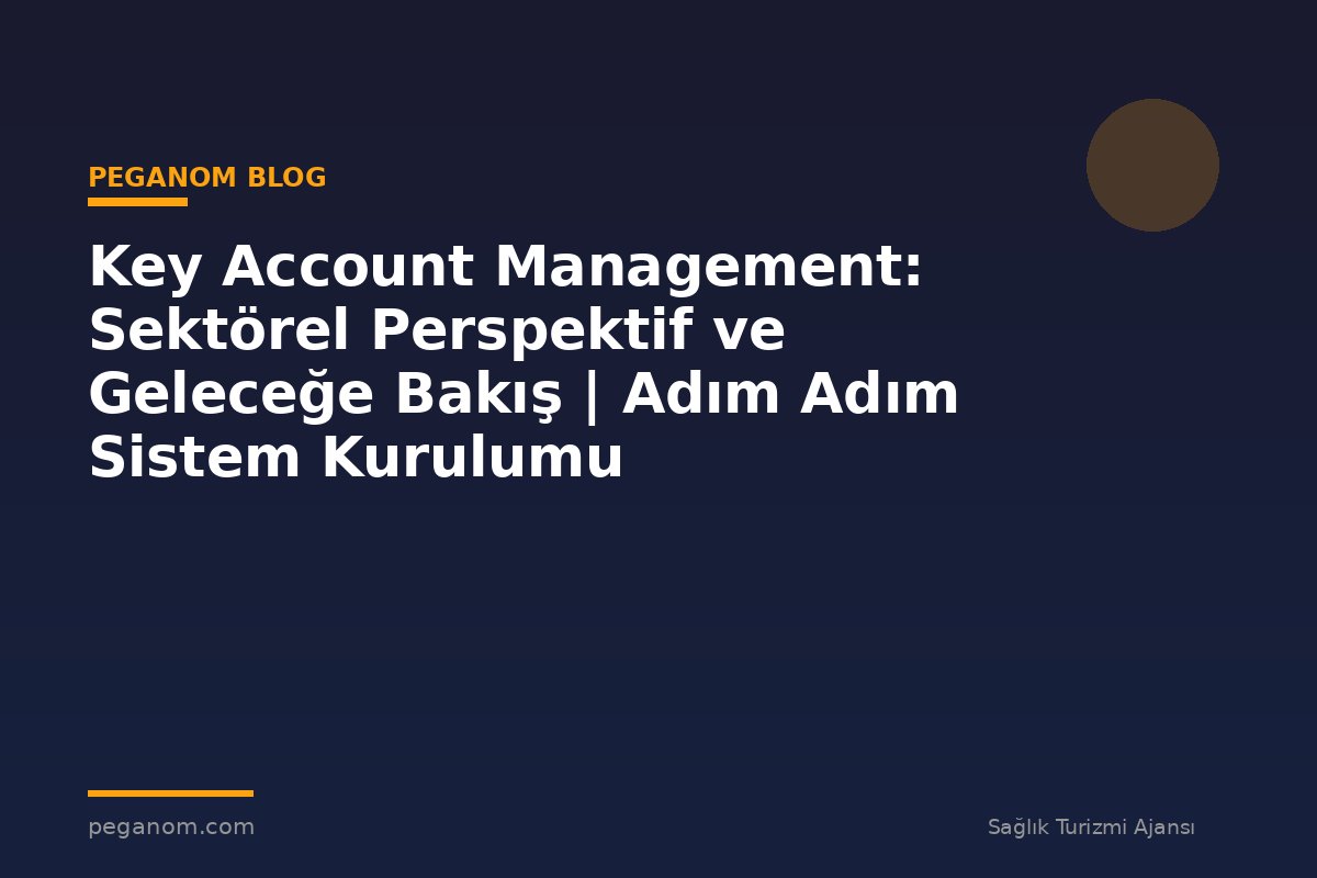 Key Account Management: Sektörel Perspektif ve Geleceğe Bakış | Adım Adım Sistem Kurulumu