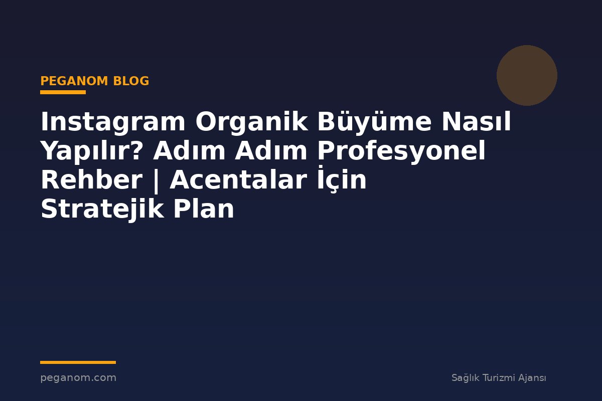 Instagram Organik Büyüme Nasıl Yapılır? Adım Adım Profesyonel Rehber | Acentalar İçin Stratejik Plan