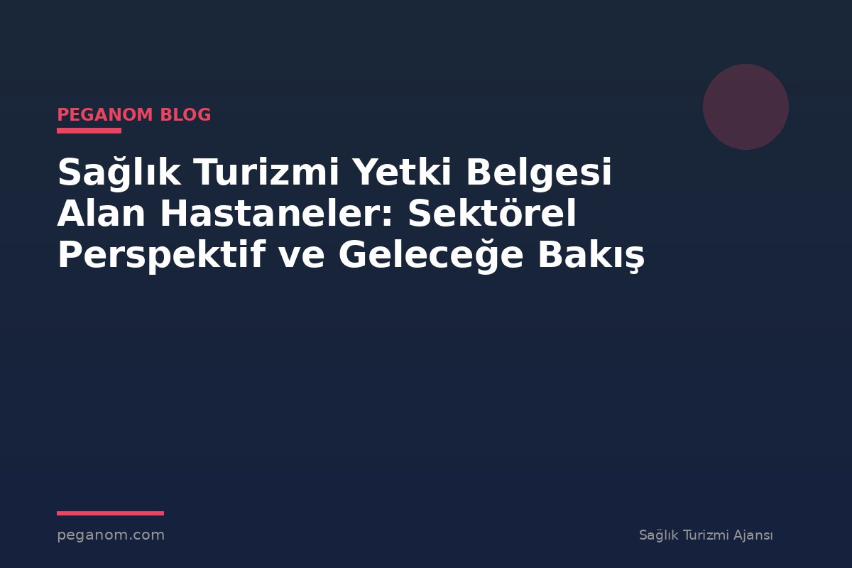 Sağlık Turizmi Yetki Belgesi Alan Hastaneler: Sektörel Perspektif ve Geleceğe Bakış
