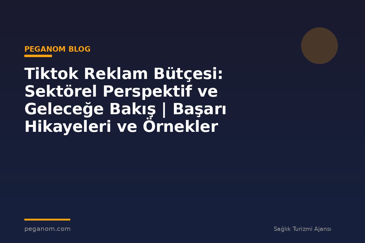 Tiktok Reklam Bütçesi: Sektörel Perspektif ve Geleceğe Bakış | Başarı Hikayeleri ve Örnekler