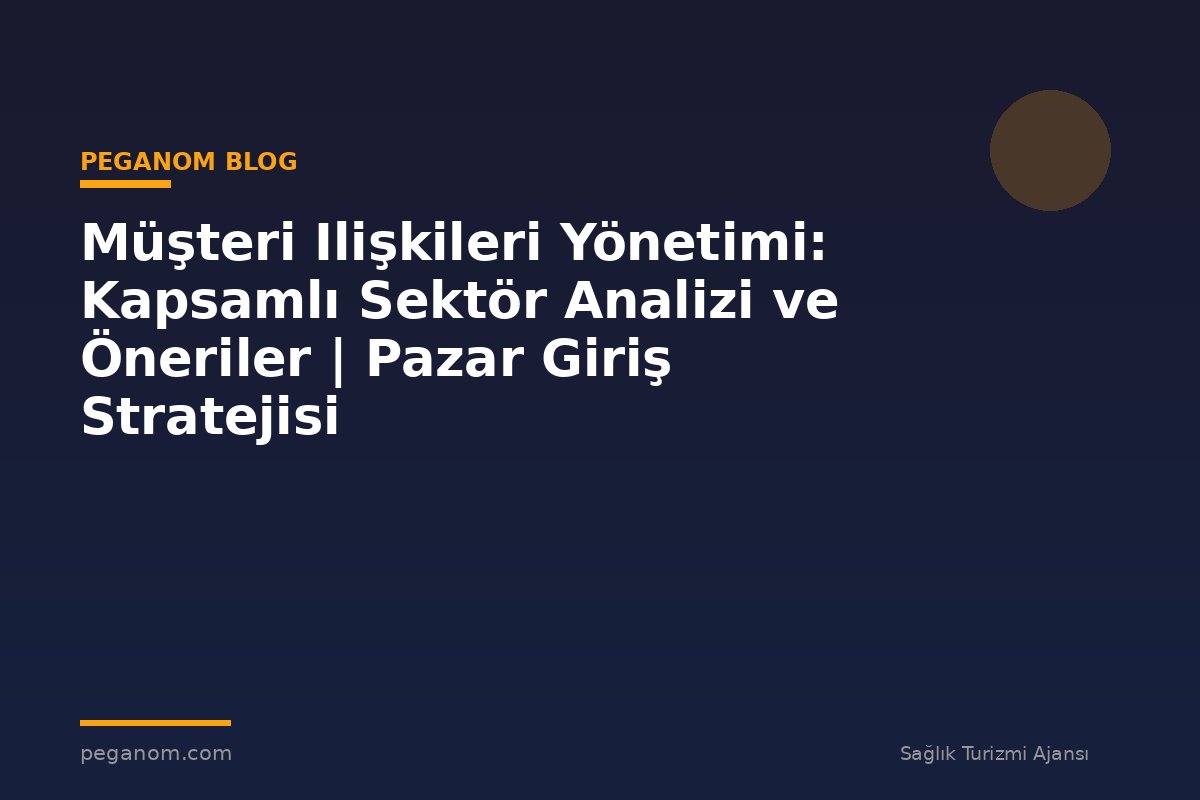 Müşteri Ilişkileri Yönetimi: Kapsamlı Sektör Analizi ve Öneriler | Pazar Giriş Stratejisi
