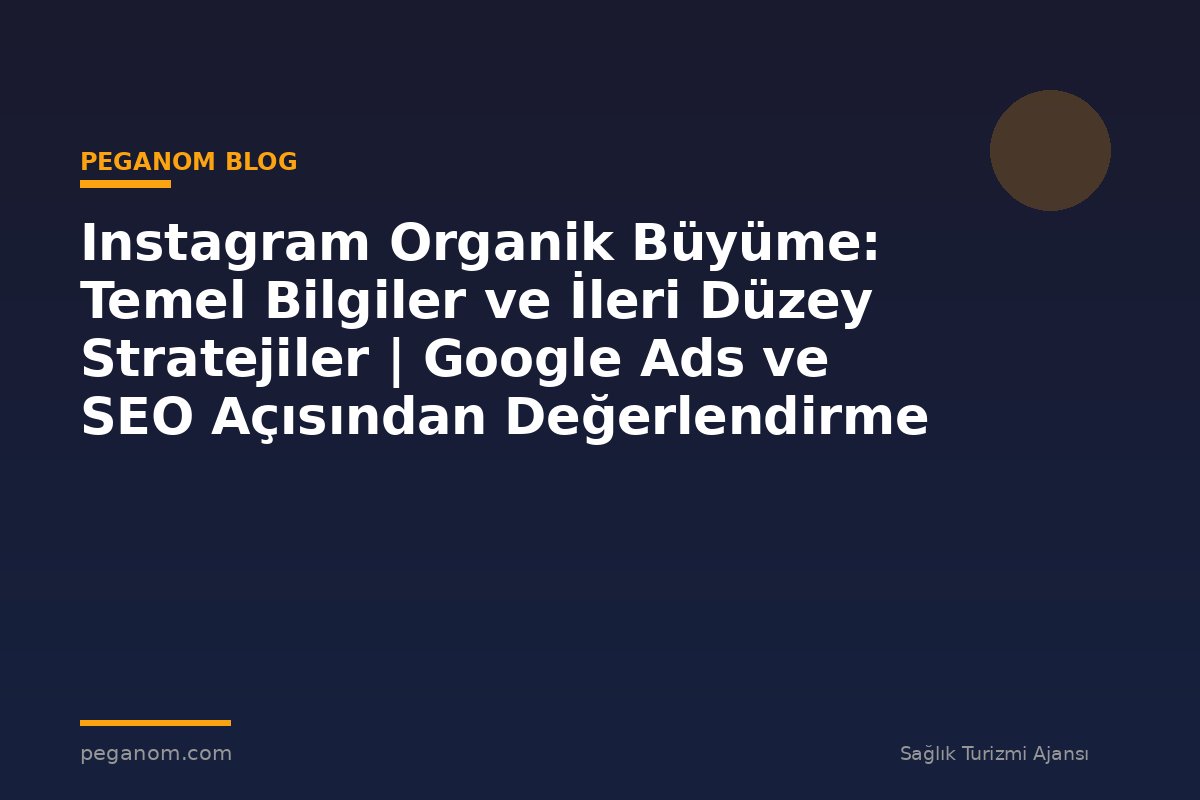 Instagram Organik Büyüme: Temel Bilgiler ve İleri Düzey Stratejiler | Google Ads ve SEO Açısından Değerlendirme