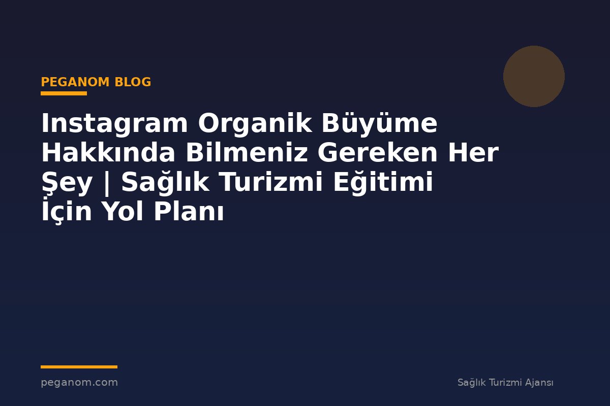Instagram Organik Büyüme Hakkında Bilmeniz Gereken Her Şey | Sağlık Turizmi Eğitimi İçin Yol Planı