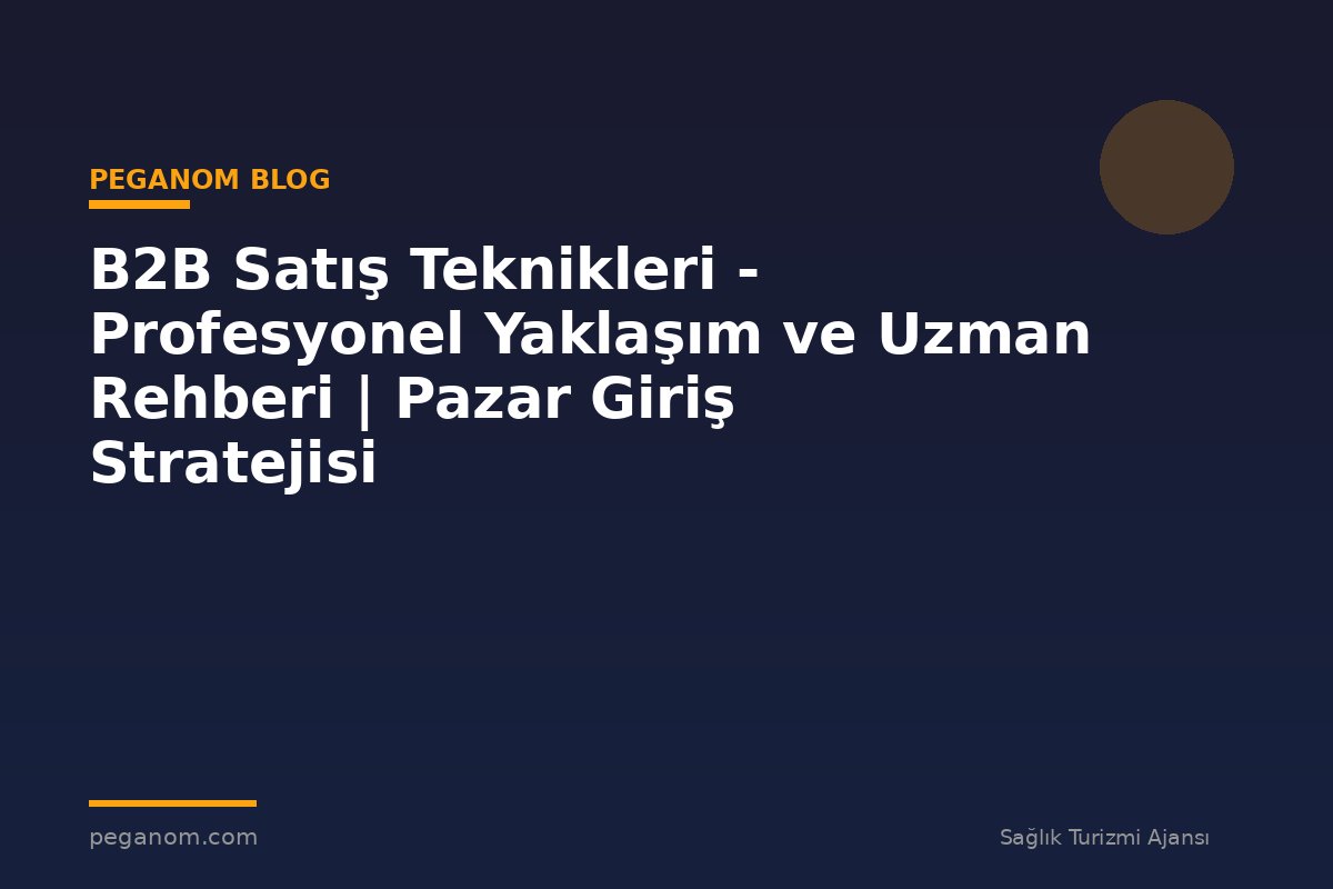 B2B Satış Teknikleri - Profesyonel Yaklaşım ve Uzman Rehberi | Pazar Giriş Stratejisi