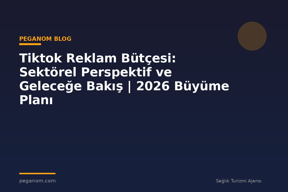 Tiktok Reklam Bütçesi: Sektörel Perspektif ve Geleceğe Bakış | 2026 Büyüme Planı