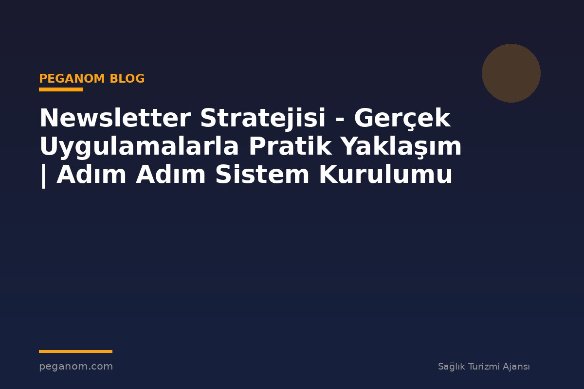 Newsletter Stratejisi - Gerçek Uygulamalarla Pratik Yaklaşım | Adım Adım Sistem Kurulumu