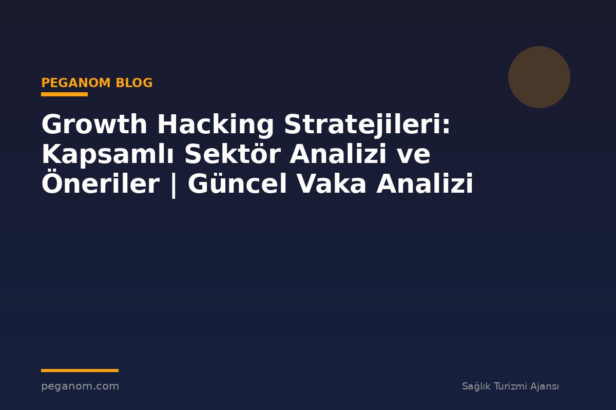 Growth Hacking Stratejileri: Kapsamlı Sektör Analizi ve Öneriler | Güncel Vaka Analizi