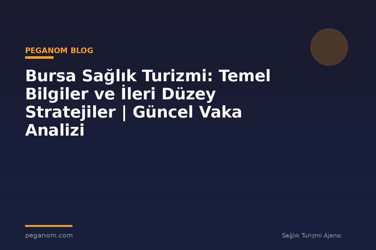 Bursa Sağlık Turizmi: Temel Bilgiler ve İleri Düzey Stratejiler | Güncel Vaka Analizi