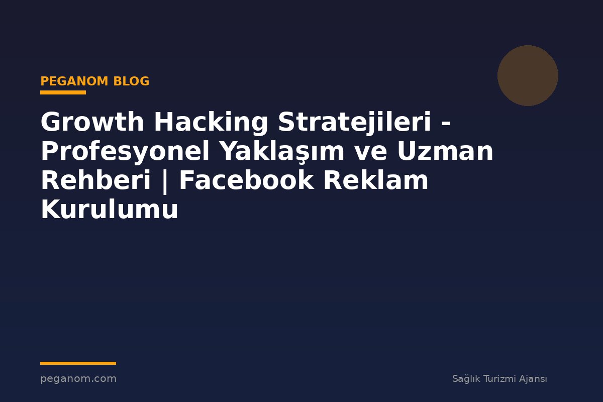 Growth Hacking Stratejileri - Profesyonel Yaklaşım ve Uzman Rehberi | Facebook Reklam Kurulumu