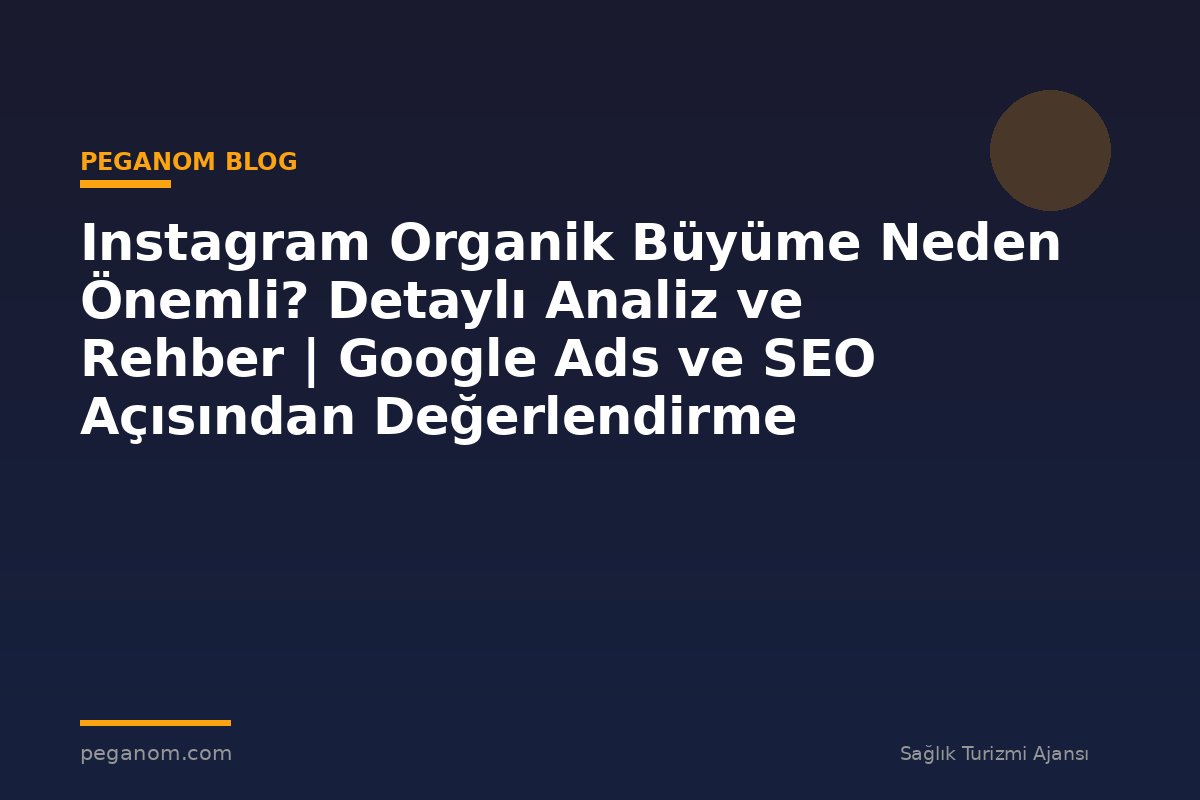 Instagram Organik Büyüme Neden Önemli? Detaylı Analiz ve Rehber | Google Ads ve SEO Açısından Değerlendirme