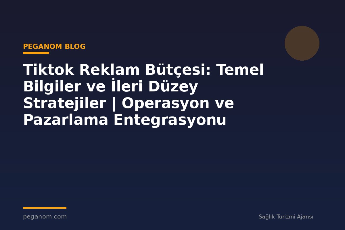 Tiktok Reklam Bütçesi: Temel Bilgiler ve İleri Düzey Stratejiler | Operasyon ve Pazarlama Entegrasyonu