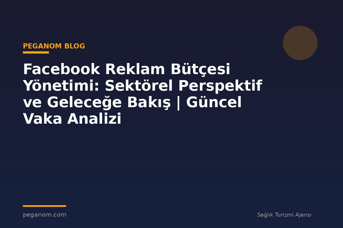 Facebook Reklam Bütçesi Yönetimi: Sektörel Perspektif ve Geleceğe Bakış | Güncel Vaka Analizi
