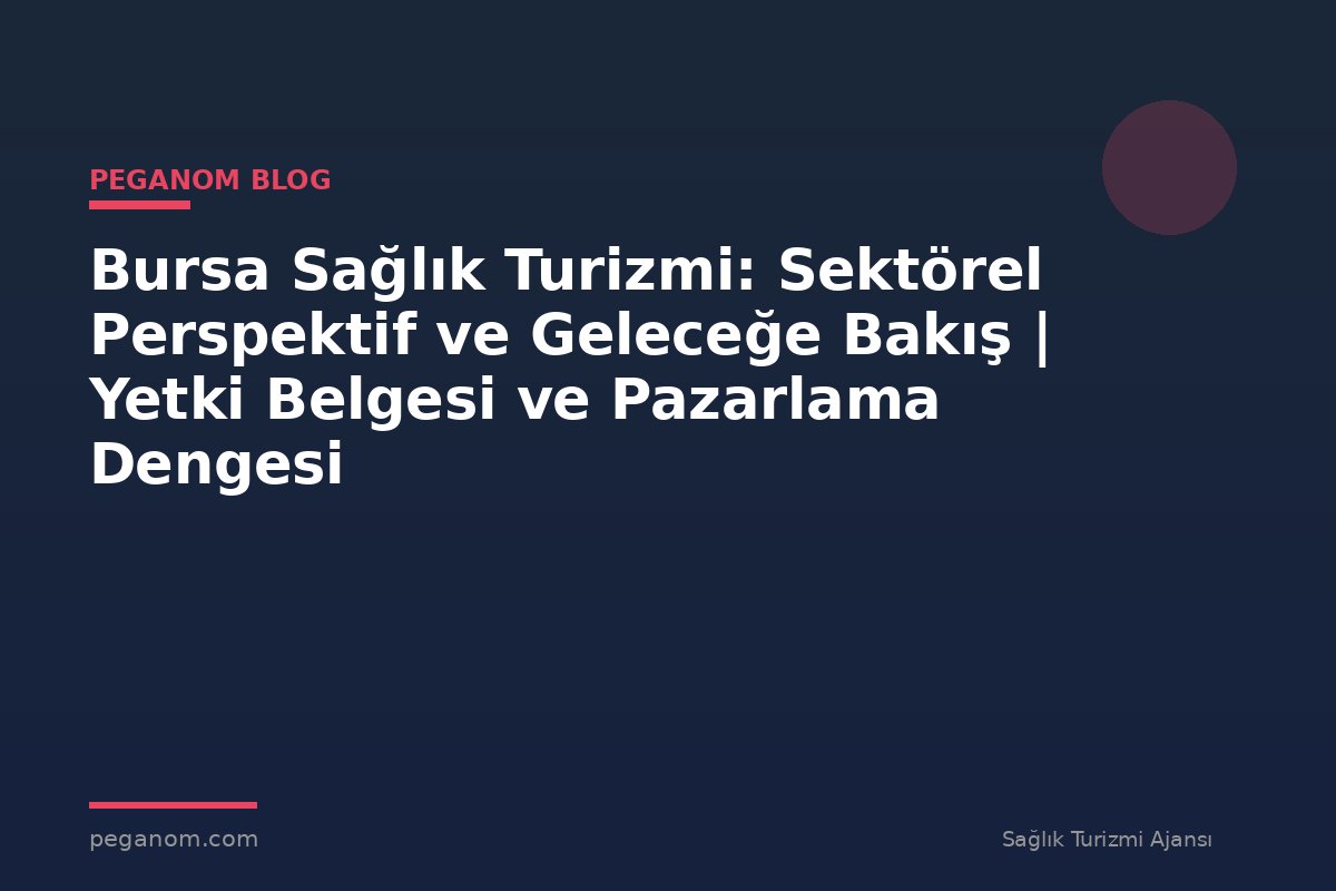 Bursa Sağlık Turizmi: Sektörel Perspektif ve Geleceğe Bakış | Yetki Belgesi ve Pazarlama Dengesi