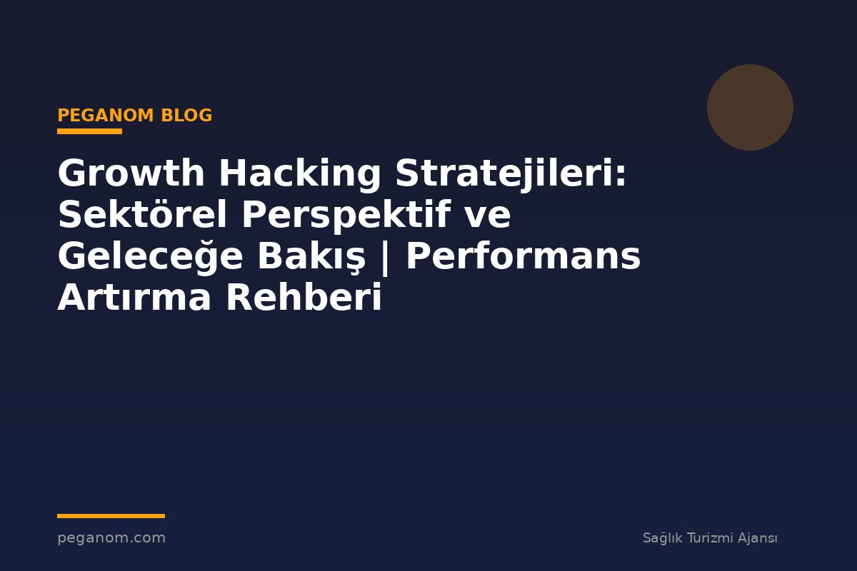 Growth Hacking Stratejileri: Sektörel Perspektif ve Geleceğe Bakış | Performans Artırma Rehberi