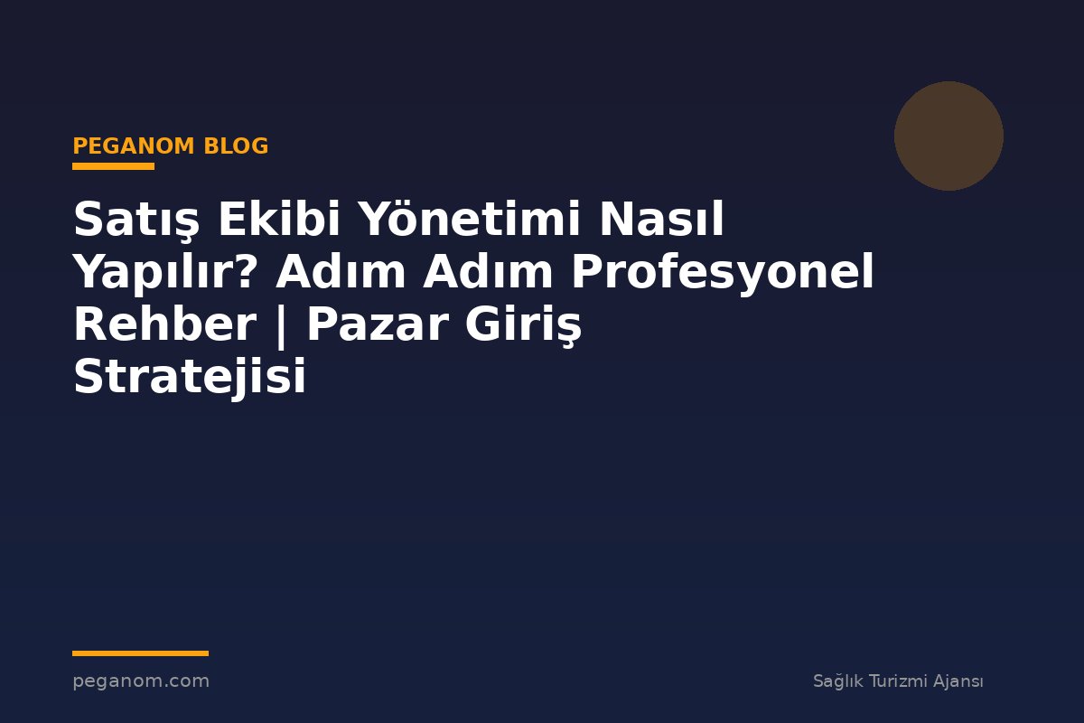 Satış Ekibi Yönetimi Nasıl Yapılır? Adım Adım Profesyonel Rehber | Pazar Giriş Stratejisi