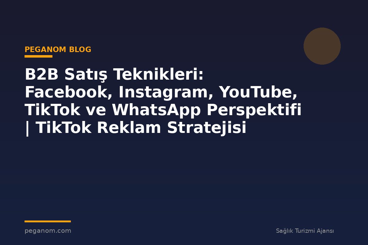 B2B Satış Teknikleri: Facebook, Instagram, YouTube, TikTok ve WhatsApp Perspektifi | TikTok Reklam Stratejisi